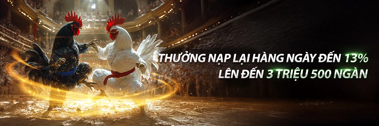 Hỗ trợ khách hàng hcm66 đăng nhập